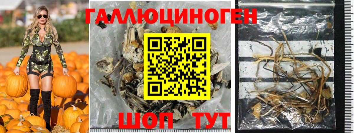 Псилоцибиновые грибы мицелий Ленинск-Кузнецкий