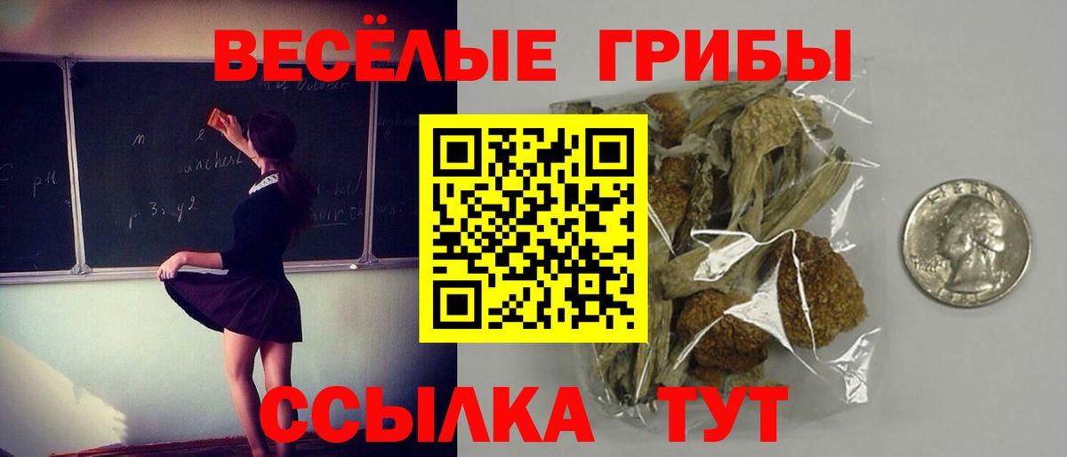 Ленинск-Кузнецкий  Псилоцибиновые грибы Magic Shrooms  Вход с VPN  Галлюциногенные грибы Magic Shrooms 